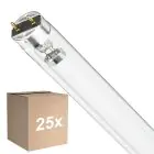 Flerpack 25x Philips T8 UV - C 17W - Ultraviolett | 60cm